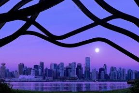 世界滑板公开赛城市青年节活动吸睛，2021年世界滑板日活动时间